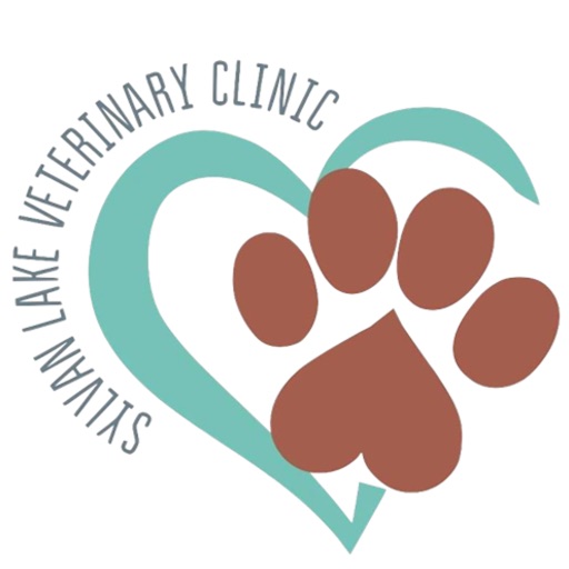 Sylvan Lake Vet