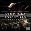 Symphony Essentials Explored - Nonlinear Educating Inc.