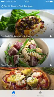 south beach diet recipes iphone screenshot 3