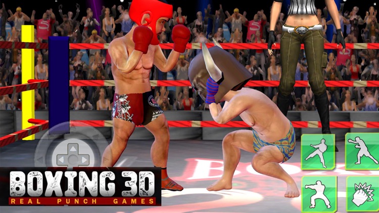 Real Boxing Punch