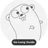 Learn Go Lang Offline [PRO] problems & troubleshooting and solutions