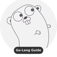 Learn Go Lang Offline PRO