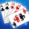 Icon Puzzle Poker Joker's Wild