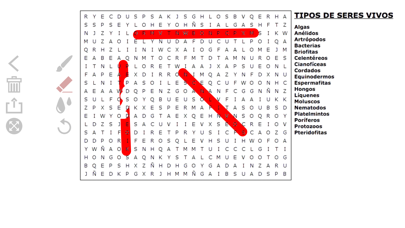 Word search soup by topic screenshot 3