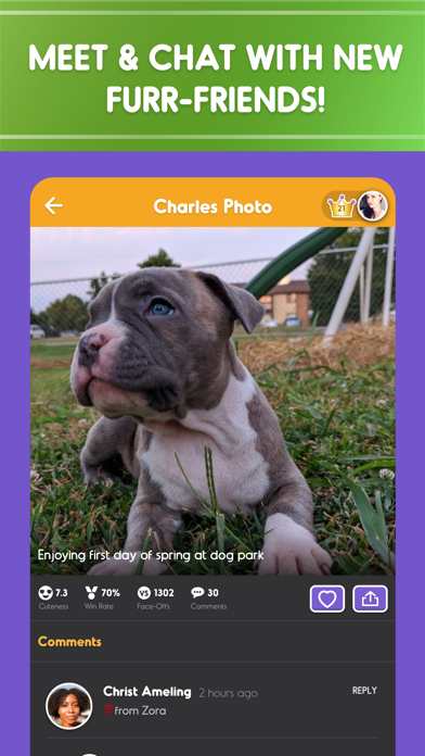 Pet Parade: Cutest Dogs & Cats Screenshot