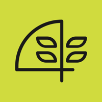 Бюро пиццы  Москва