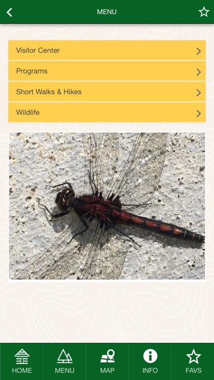 Mendenhall Glacier, Tongass NF