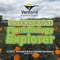 Explore the fascinating story of how plants survive using the Interactive Plant Biology Explorer