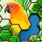 Jigsaw Puzzles Hexa is a fun, addictive, and challenging new brain game you can play at home or on the go