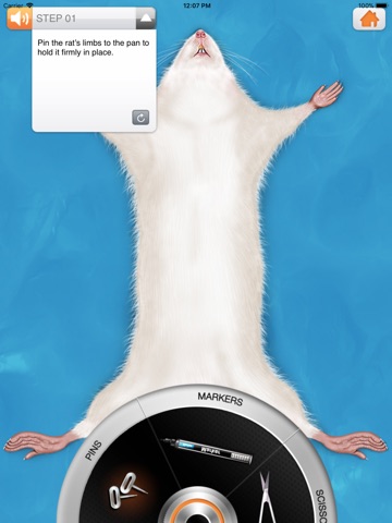 Rat Dissection app screenshot 3