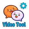 Snaplingo Video Tool