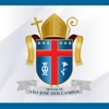 Diocese de São José dos Campos icon