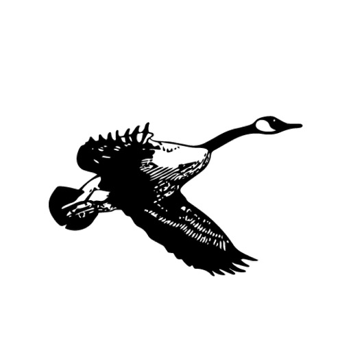 Kenmare Public School #28 - AppWisp.com