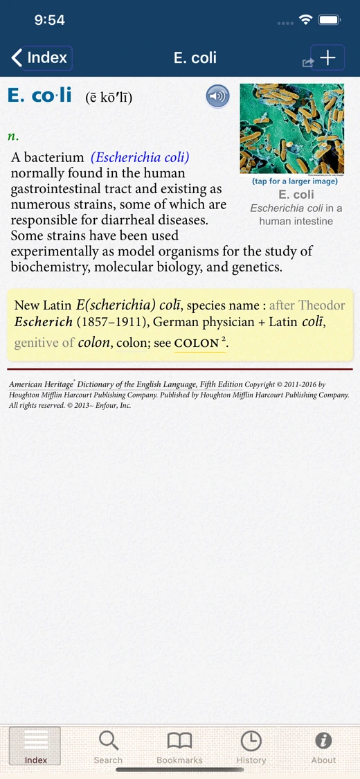American Heritage Dictionary 5 screenshot 7