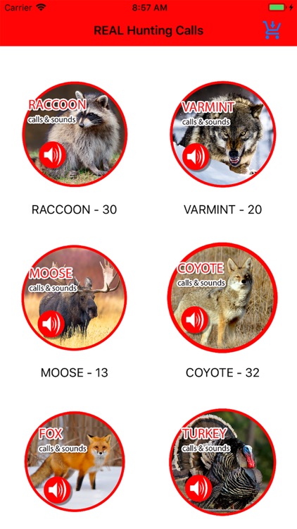 2000+ Animal Sounds Calls