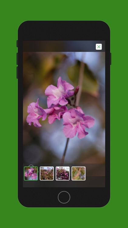 Riyadh Plants screenshot-5