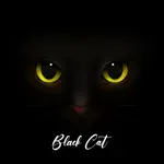 Cute Black Cat Stickers Pack App Contact