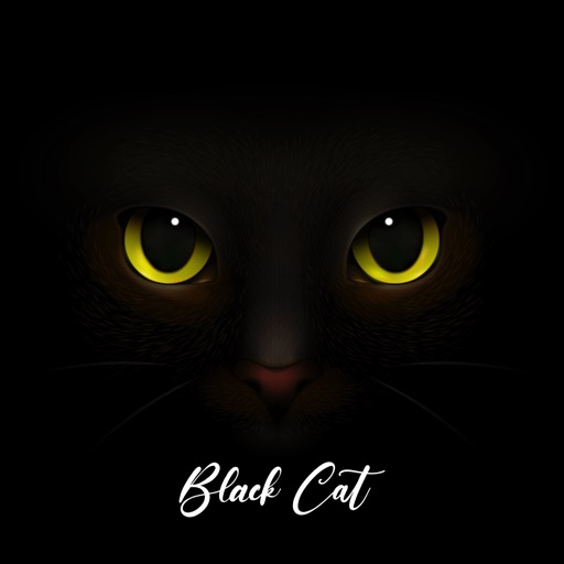 Cute Black Cat Stickers Pack icon