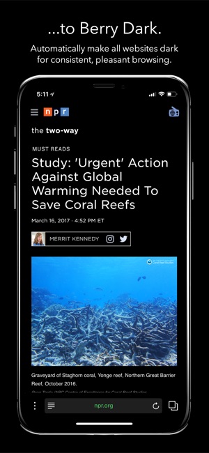 Berry Dark Browser(圖2)-速報App