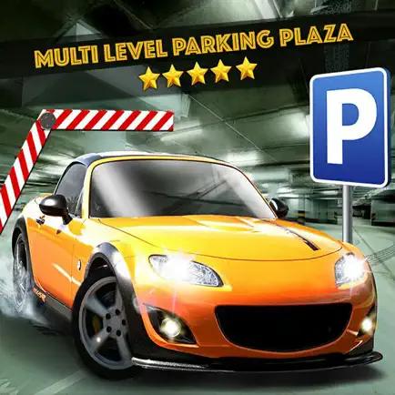 Metro City Car Parking Plaza Читы