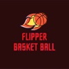 Flipper Basket Ball 2D icon