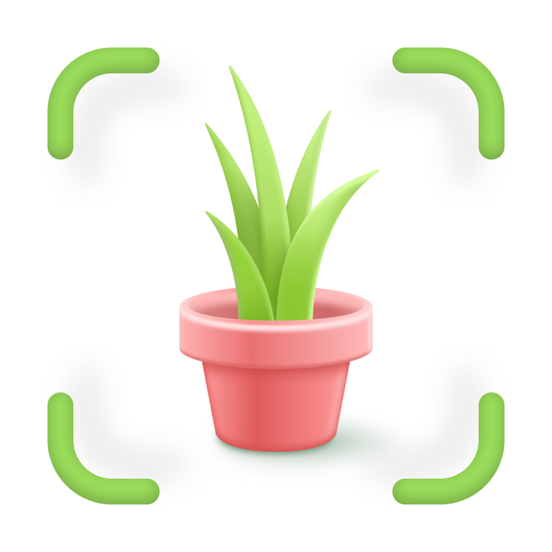 Plant, Flower Identifier:Botan