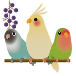 Adorable Birds Emoij Sticker