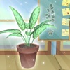 Houseplant 2021 - iPadアプリ