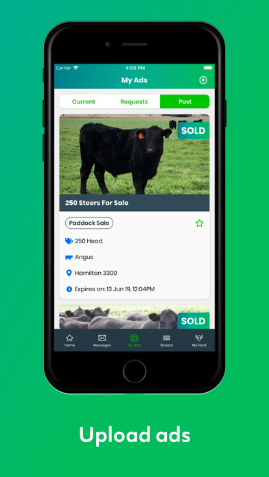 The Herd Screenshot