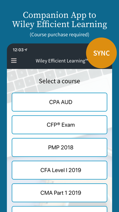 Wiley Efficient Learning Screenshot