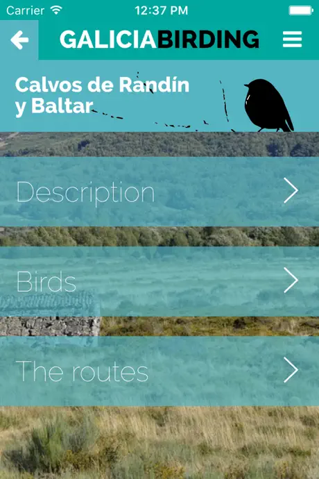 Galicia Birding