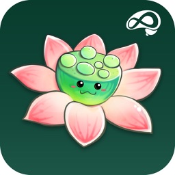 禅定花园—养花式冥想,重塑你大脑能量