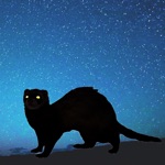 Download Ferret Night Vision Camera app