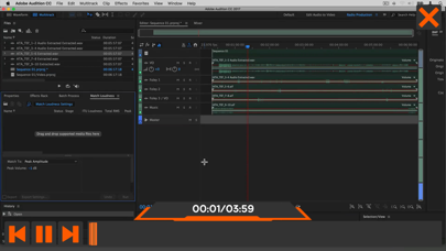 How to cancel & delete Worksflows Adobe Audition CC from iphone & ipad 3