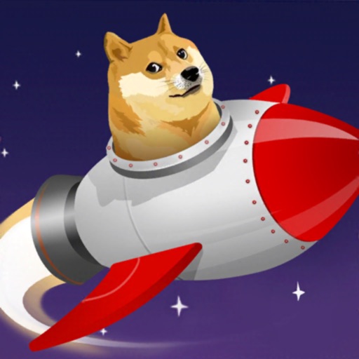 Doge to moon icon