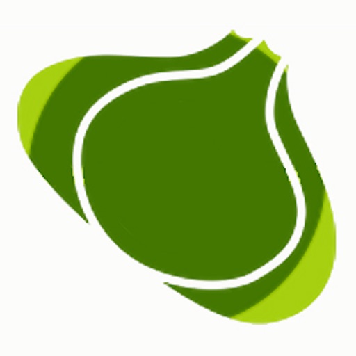 Bulbapedia Wiki For Pokémon By Bifrost Entertainment