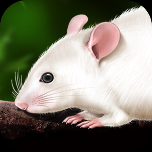 Rat Dissection icon