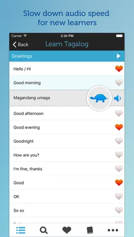 Game screenshot Learn Tagalog - Phrasebook apk