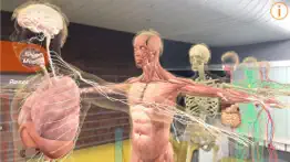 human anatomy 4d-mixed reality iphone screenshot 3