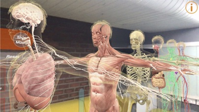 Human Anatomy 4D-Mixed Reality Screenshot