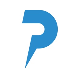 Pinbloop Punchlist