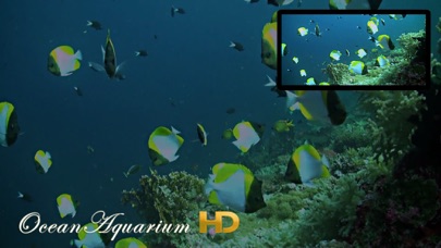Ocean Aquarium HD Screenshot