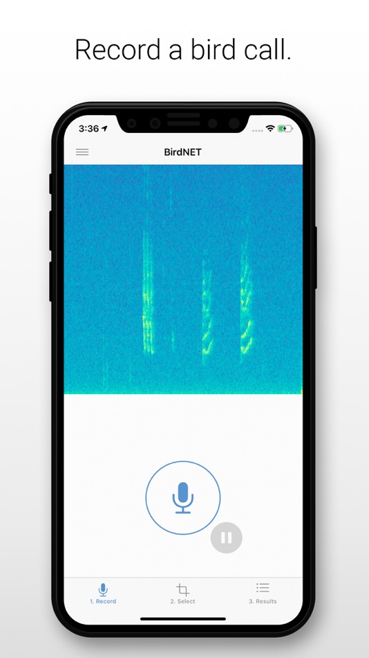 #1. BirdNET (iOS) Ved: Stefan Kahl