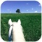 Young Rider entertains horse-crazy ‘tweens and teens with a fun-filled mixture of riding tips, horse-care hints, celebrity features, pen-pal pages, contests and two or more beautiful color posters