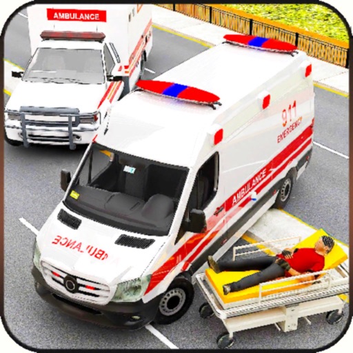 Ambulance Emergency Simulation