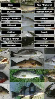 fishing scale iphone screenshot 1