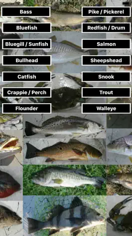 Game screenshot Fishing Scale mod apk