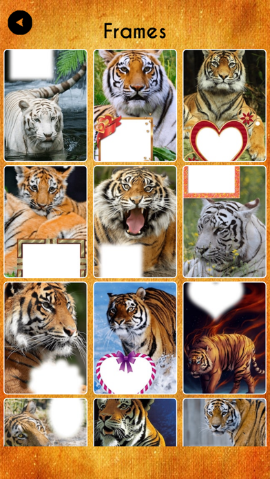 International Tiger Day Frames screenshot 4