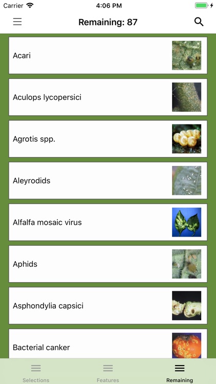 Solanaceae Fruit Field Guide screenshot-3