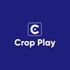 Crop Play icon
